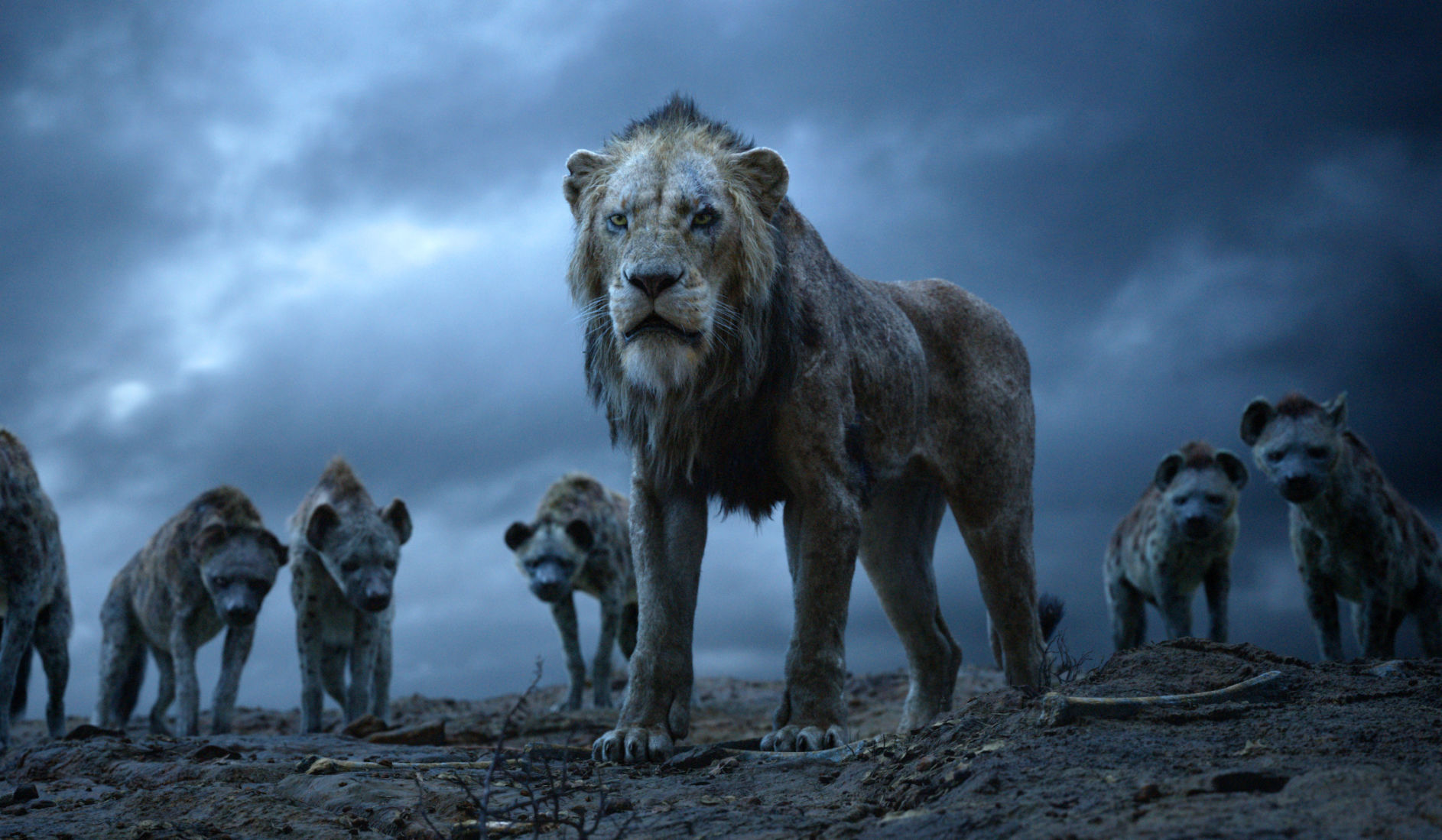 Film Review - The Lion King